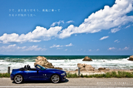 初夏、笹川流れを走る